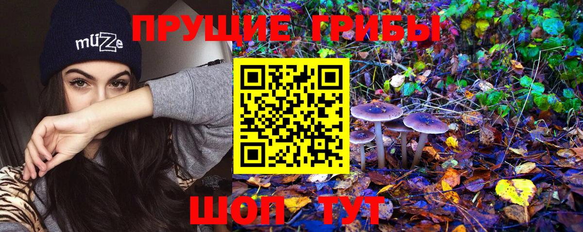 Псилоцибиновые грибы Psilocybine cubensis  купить наркотики цена  Арзамас  Вход с VPN 